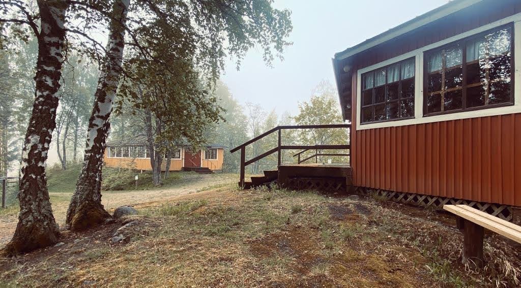 Untula kesällä